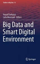 Big Data and Smart Digital Environment