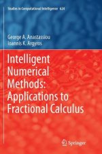 Intelligent Numerical Methods: Applications to Fractional Calculus