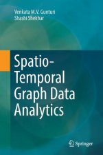 Spatio-Temporal Graph Data Analytics