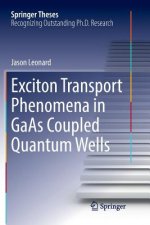 Exciton Transport Phenomena in GaAs Coupled Quantum Wells