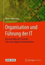 Organisation und Fuhrung der IT