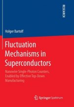 Fluctuation Mechanisms in Superconductors