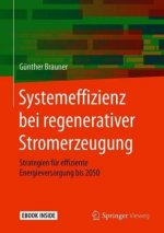 Systemeffizienz bei regenerativer Stromerzeugung, m. 1 Buch, m. 1 E-Book