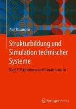 Strukturbildung Und Simulation Technischer Systeme