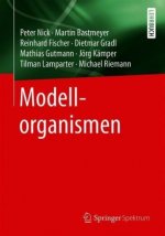 Modellorganismen