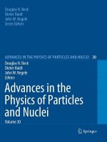 Advances in the Physics of Particles and Nuclei Volume 30