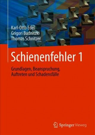 Schienenfehler 1