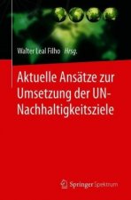 Aktuelle Ansatze zur Umsetzung der UN-Nachhaltigkeitsziele