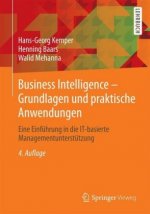 Business Intelligence & Analytics - Grundlagen und praktische Anwendungen : Ansatze der IT-basierten Entscheidungsunterstutzung