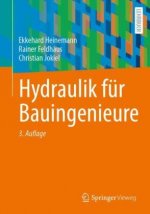 Hydraulik fur Bauingenieure