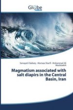 Magmatism associated with salt diapirs in the Central Basin, Iran