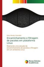 Encaminhamento e filtragem de pacotes em plataforma Linux
