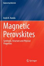 Magnetic Perovskites