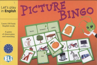 Picture Bingo (collegium)(Joc)