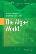 Algae World