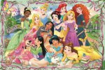 Puzzle Disney princezny: Setkání princezen