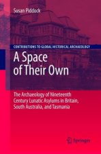 Space of Their Own: The Archaeology of Nineteenth Century Lunatic Asylums in Britain, South Australia and Tasmania