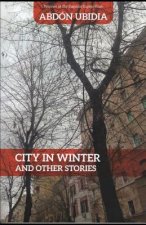 City in Winter: And Other Stories