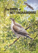Birds of Nottinghamshire