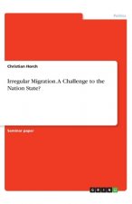 Irregular Migration. A Challenge to the Nation State?