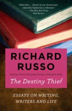 Destiny Thief