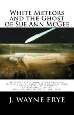 White Meteors and the Ghost of Sue Ann McGee
