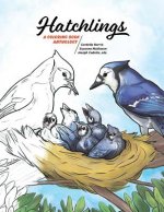 Hatchlings