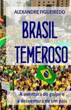 Brasil Temeroso: A aventura do golpe e a desventura de um país