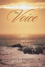 Voice