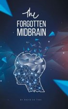 Forgotten Midbrain