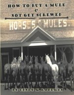 How To Buy A Mule & Not Get Screwed