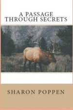 A Passage Through Secrets
