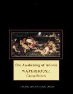 Awakening of Adonis