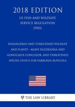 Endangered and Threatened Wildlife and Plants - Agave eggersiana and Gonocalyx concolor, and Threatened Species Status for Varronia rupicola (US Fish