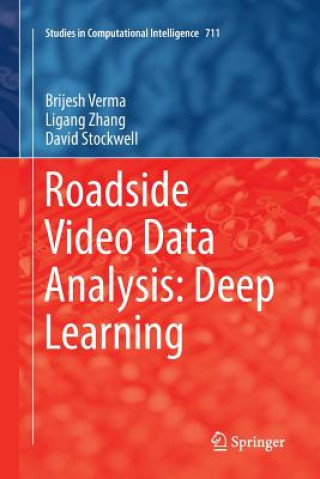 Roadside Video Data Analysis