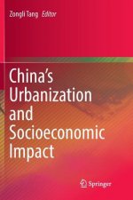 China's Urbanization and Socioeconomic Impact
