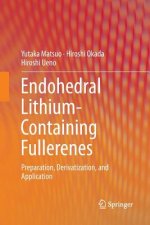 Endohedral Lithium-containing Fullerenes