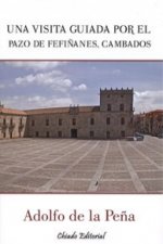 Una visita guiada por el pazo de Fefiñanes, Cambados