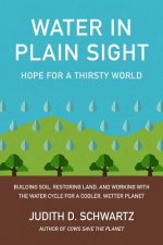 Water in Plain Sight: Hope for a Thirsty World