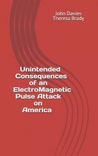 Unintended Consequences of an Electro-Magnetic Pulse Attack on America