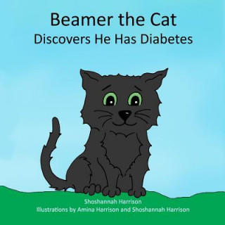 Beamer the Cat: Discovers He Has Diabetes