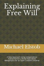 Explaining Free Will: A New Approach Using Independence Indeterminism a Novel Naturalistic Metaphysics for an Open Creative Universe