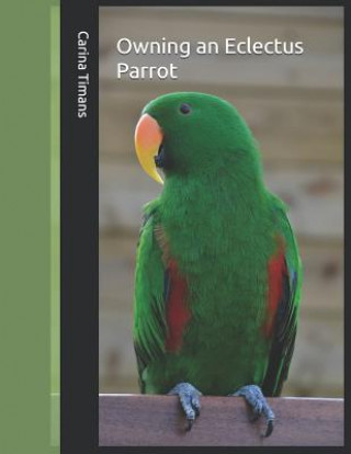 Owning an Eclectus Parrot