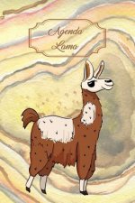 Agenda Lama: Agenda Perp