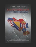 The Dissolution of Yugoslavia: The History of the Yugoslav Wars and the Political Problems That Led to Yugoslavia