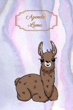 Agenda Lama: Agenda Perp