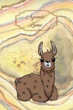 Agenda Lama: Agenda Perp