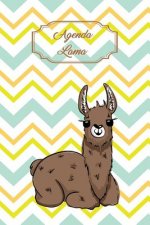 Agenda Lama: Agenda Perp