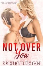 Not Over You: An Enemies to Lovers Romance