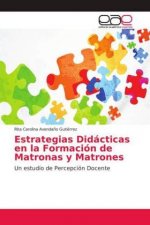 Estrategias Didácticas en la Formación de Matronas y Matrones